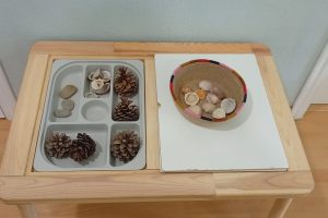 Centro Montessori Bulevar